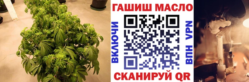 дарнет шоп  Михайловск  ТГК вейп с тгк 