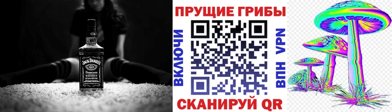 Псилоцибиновые грибы GOLDEN TEACHER  маркетплейс Telegram  Михайловск 