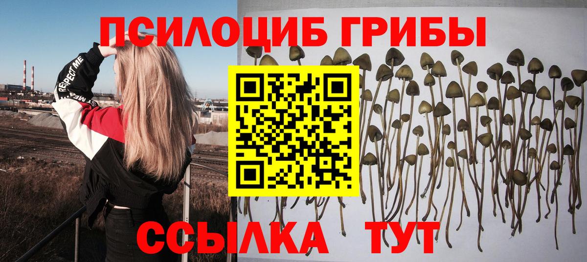 Галлюциногенные грибы GOLDEN TEACHER  Вход с VPN  Михайловск 